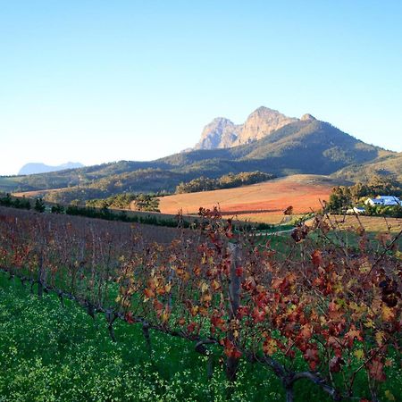 ステレンボッシュ Marianne Wine Estate Bed & Breakfast エクステリア 写真