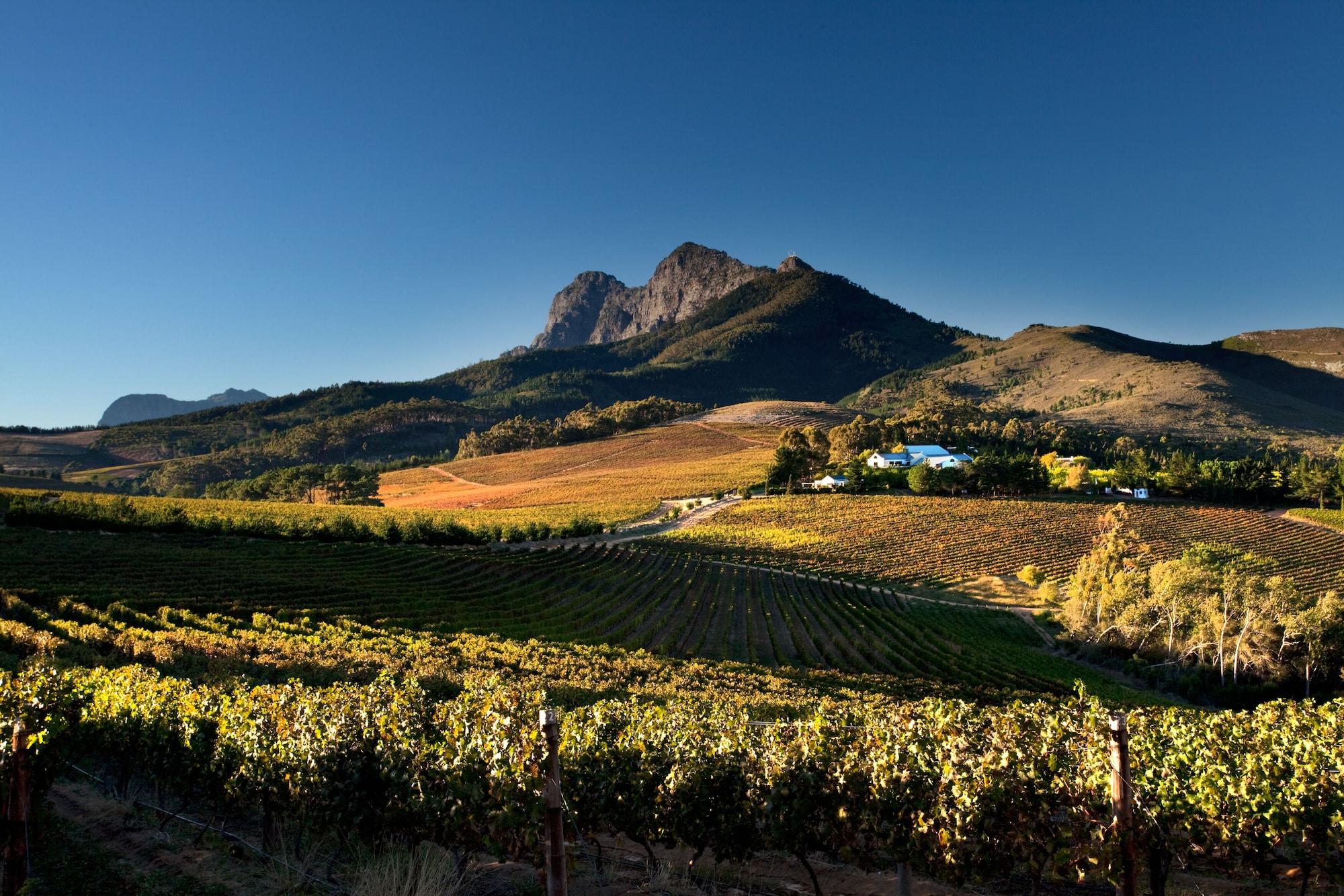 ステレンボッシュ Marianne Wine Estate Bed & Breakfast エクステリア 写真