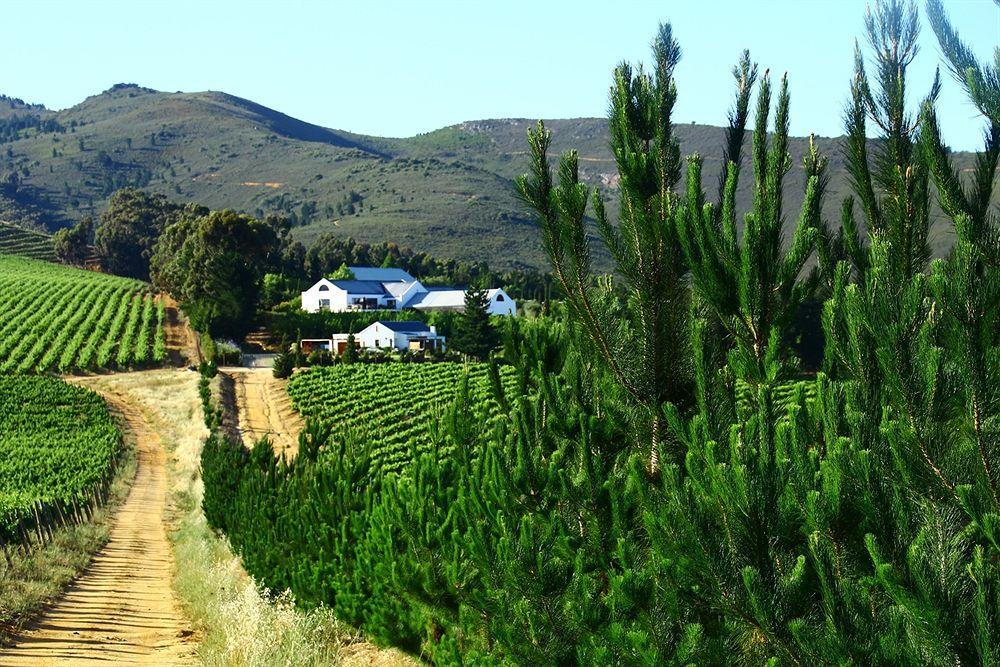ステレンボッシュ Marianne Wine Estate Bed & Breakfast エクステリア 写真