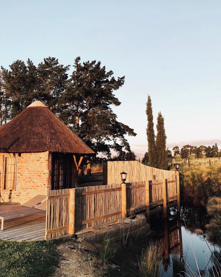 ステレンボッシュ Marianne Wine Estate Bed & Breakfast エクステリア 写真